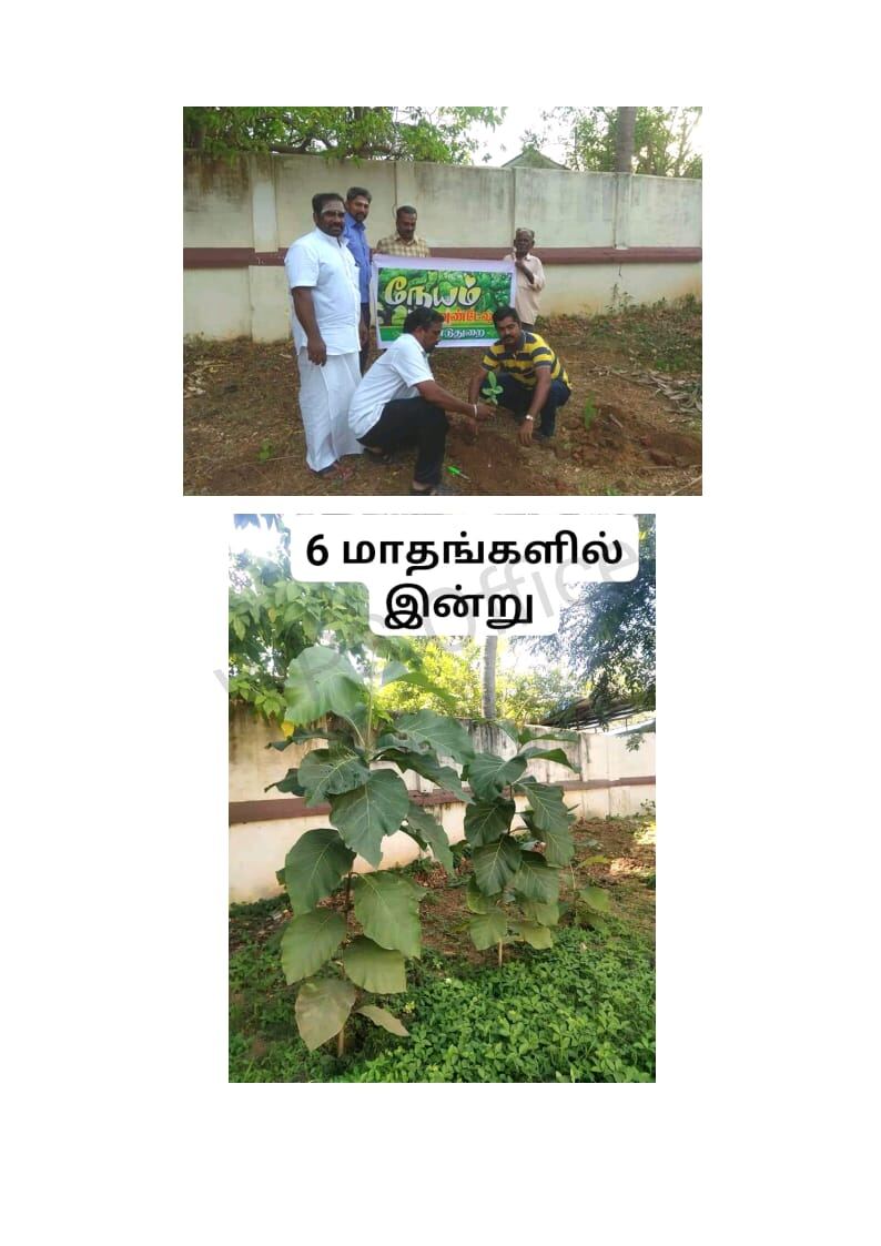 Neyam Foundation gallery photo 15